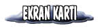 EKRAN KARTI 