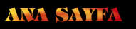 ANA SAYFA