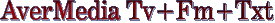 AverMedia Tv+Fm+Txt